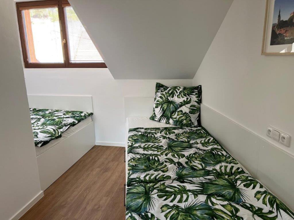 Pension Mikulov Extérieur photo